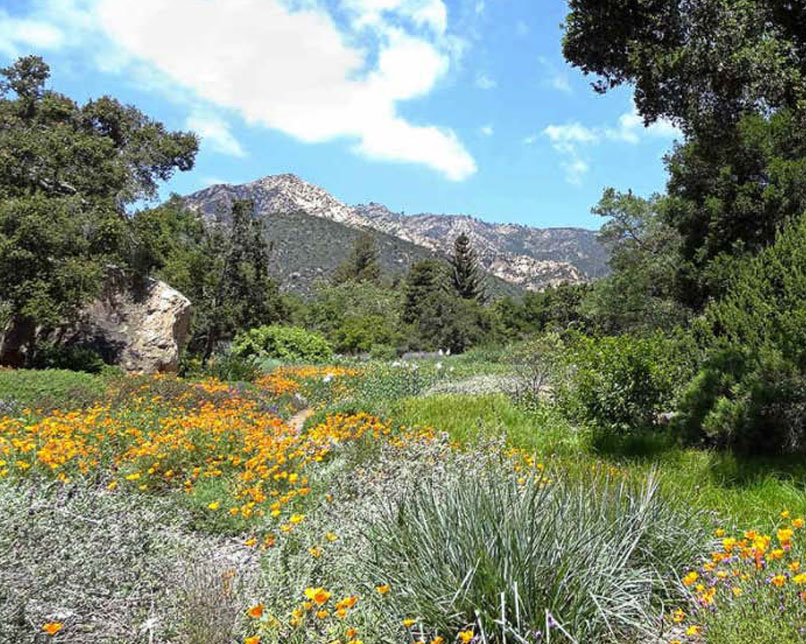 Santa Barbara Botanic Gardens