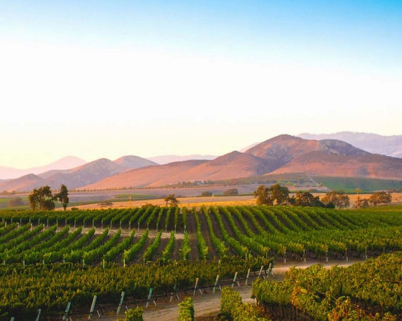 Santa Barbara County Wine Country
