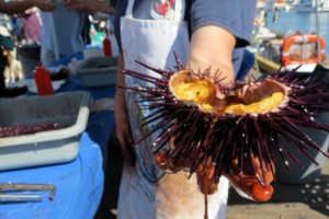 101114HarborFest-1-630x420_628_419_c1