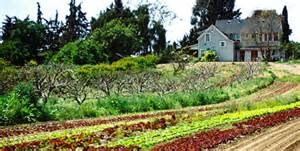 Fairview Gardens, Santa Barbara, California